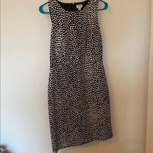 JCREW navy leopard dress
